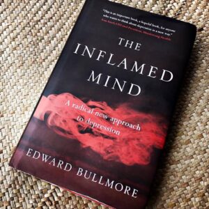 the inflamed mind